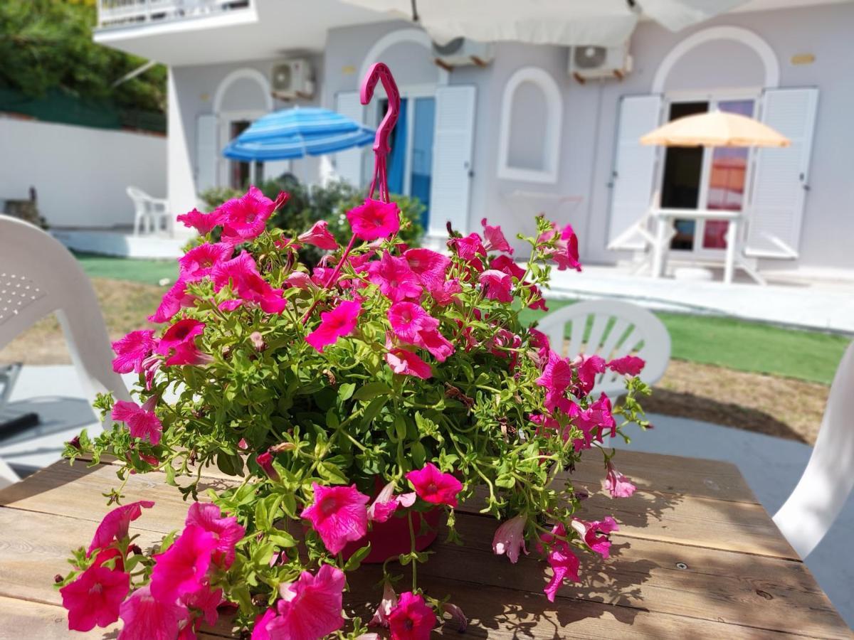 Leta Apartments Agios Georgios  Bagian luar foto
